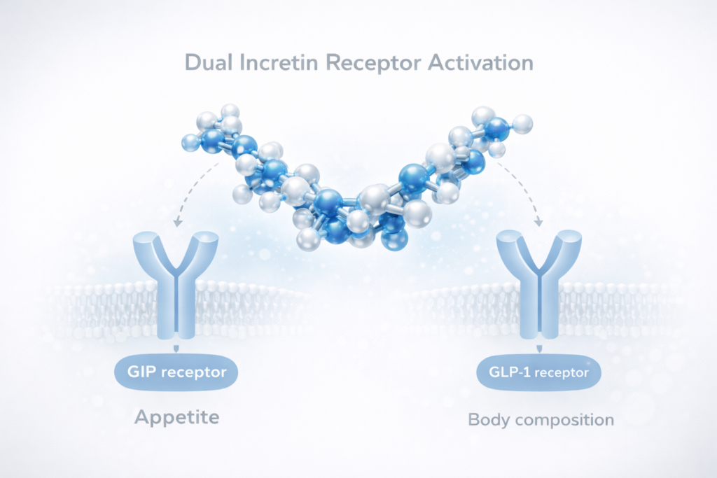 Omnitida BioActive: Scientific Rationale Based on the Dual Incretin Mechanism